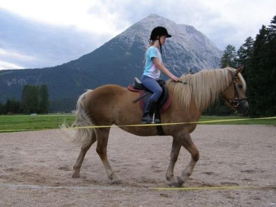 Bauernhof Liedlhof 11