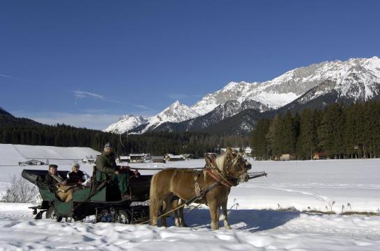 Bauernhof Liedlhof 2