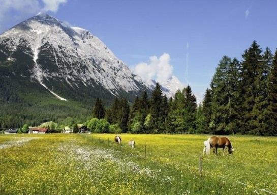 Bauernhof Liedlhof 4