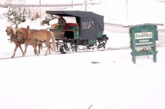 Bauernhof Liedlhof 5