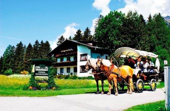 Bauernhof Liedlhof 7