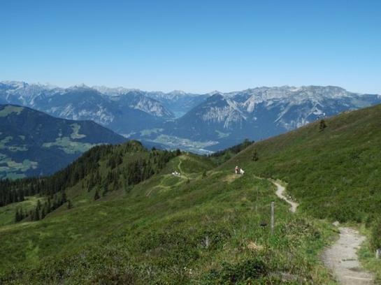 Bauernhof Stolzenhof 13