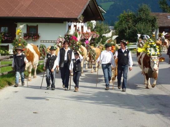 Bauernhof Stolzenhof 5