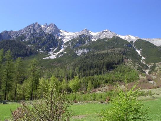 Pension Wiesenruh Gasthof