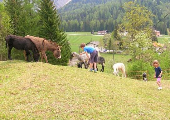 Bauernhof Trueferhof