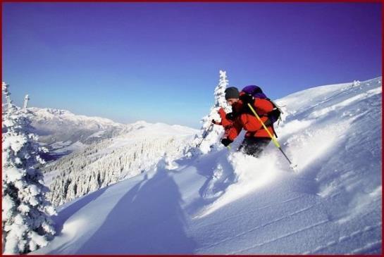 Bed & Breakfast Pension Edelweiss