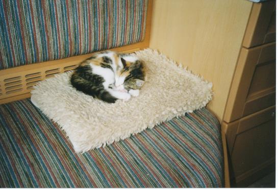 Bauernhof Plombergbauer