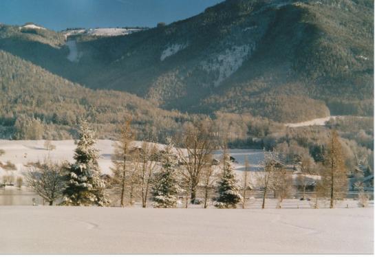 Bauernhof Plombergbauer 2