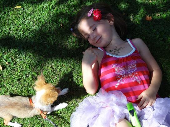 Pension Gasthof Zwischenberger