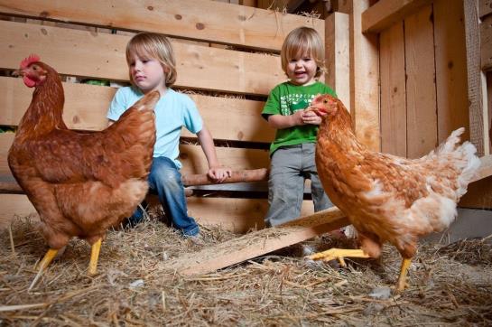 Hotel Jufa Gitschtal Landerlebnisdorf