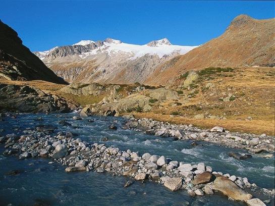 Bauernhof Hansenhof 1