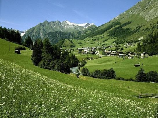 Bauernhof Hansenhof 5