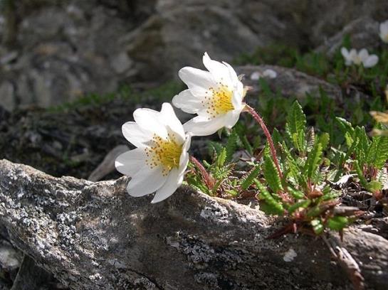 Bauernhof Hansenhof 6