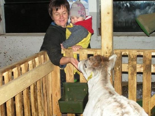 Bauernhof Stotznerhof 6