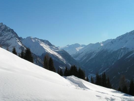 Bauernhof Stotznerhof 8