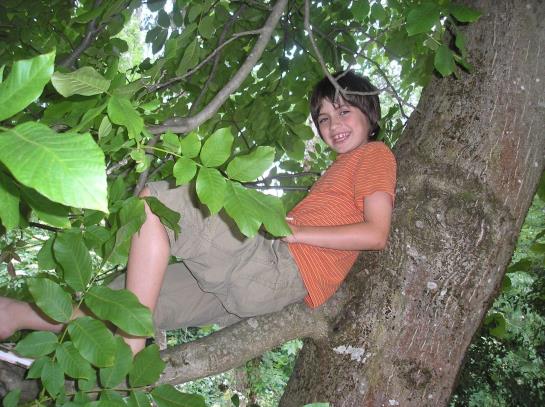 Bed and Breakfast Fritz Sagmeister Pension 20