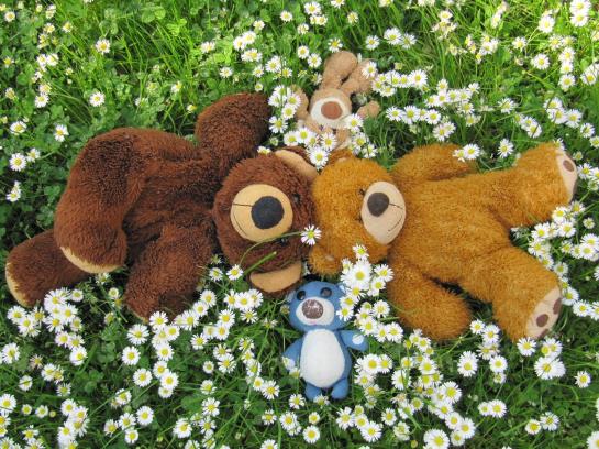 Bed and Breakfast Fritz Sagmeister Pension 6