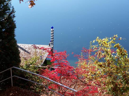 Bed & Breakfast Oberwinkler Pension