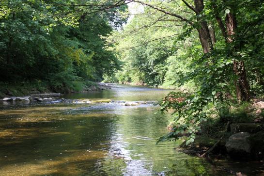 Schwarz Wienerwald Appartements