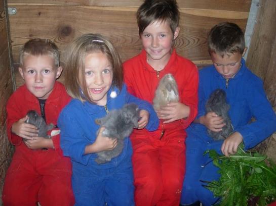 Kinderbauernhof Ierzerhof 9