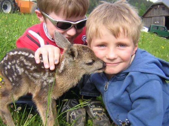 Bauernhof Stadlerhof 2