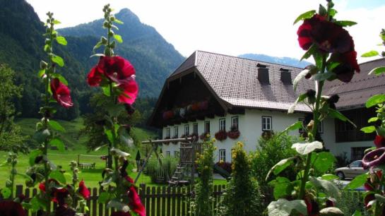 Bauernhof Stadlmannbauer 10