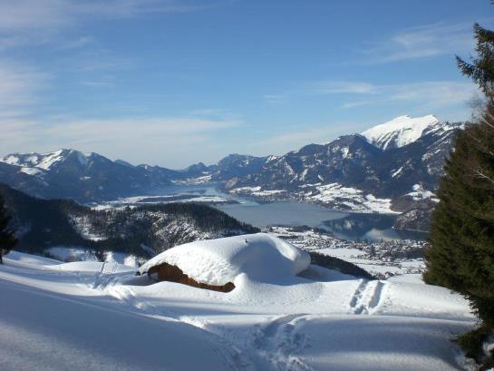 Bauernhof Stadlmannbauer 13