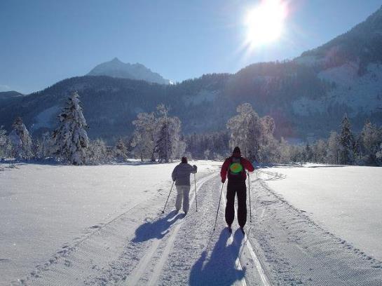 Bauernhof Stadlmannbauer 16