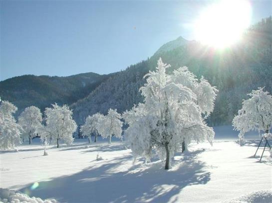Bauernhof Stadlmannbauer 2