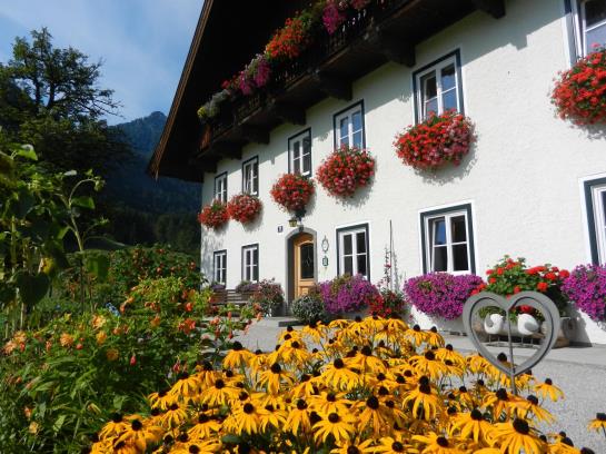 Bauernhof Stadlmannbauer 6