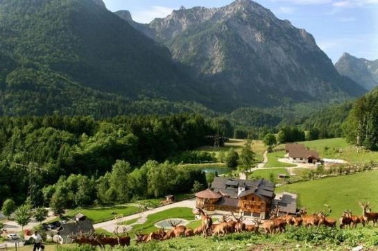 Pension Gasthof Kleefeld