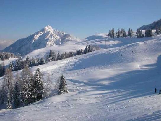 Pension Gasthof Weberhäusl 1