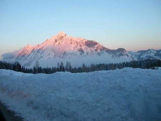 Pension Gasthof Weberhäusl 11