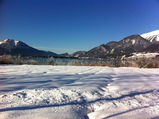 Pension Gasthof Weberhäusl 14