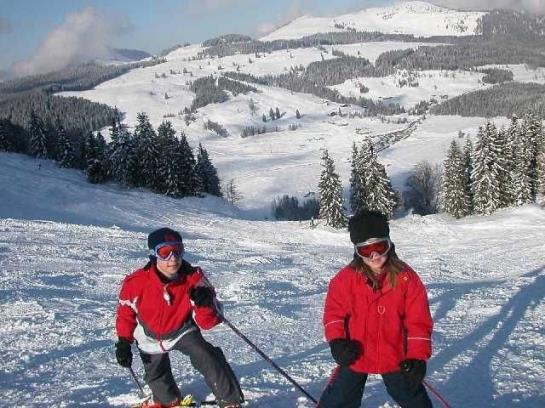 Pension Gasthof Weberhäusl 20