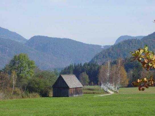 Pension Gasthof Weberhäusl 5