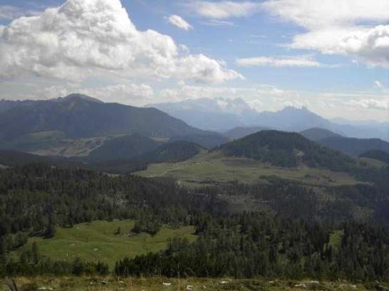 Pension Gasthof Weberhäusl 8