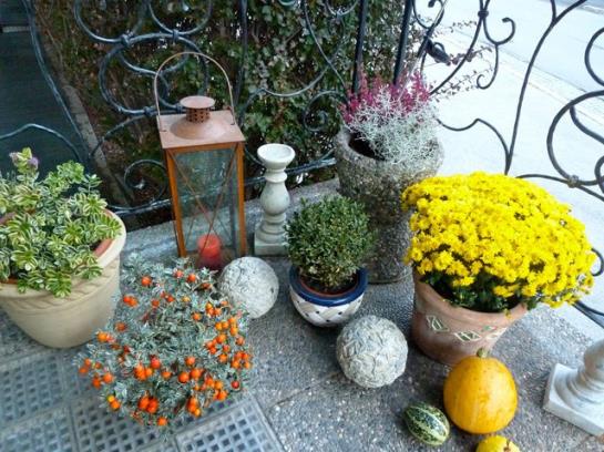 Bed and Breakfast Lagler Pension 1