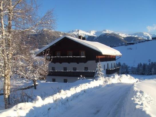 Bauernhof Draschlerhof 1