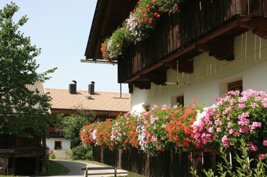 Bauernhof Draschlerhof 12