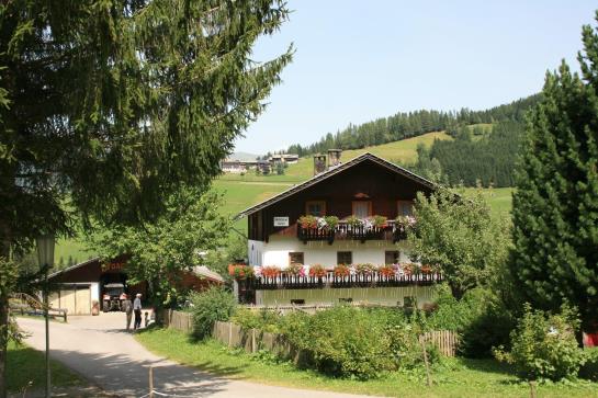 Bauernhof Draschlerhof 17