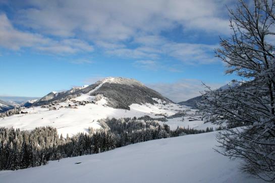 Hotel Neuhauserhof 14