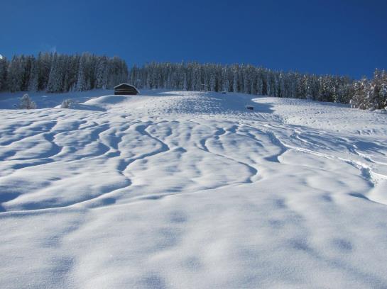 Hotel Neuhauserhof 2