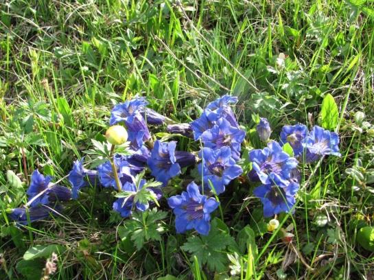 Hotel Neuhauserhof 3