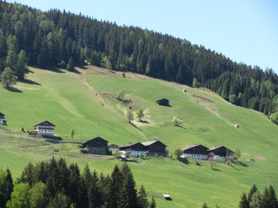 Hotel Neuhauserhof 5