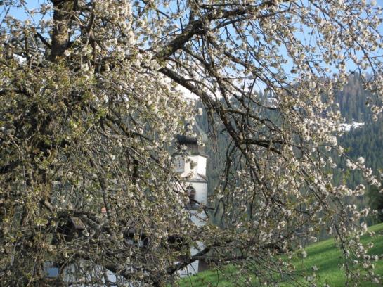 Hotel Neuhauserhof 7