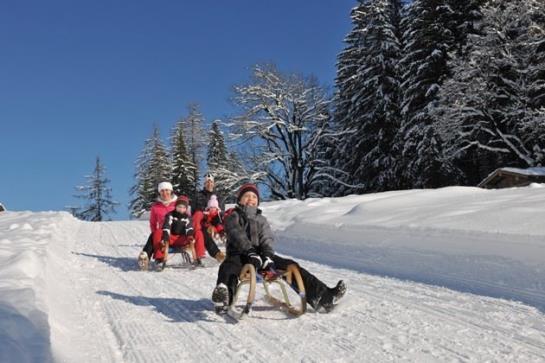 Crystls Aparthotel Flachau 2