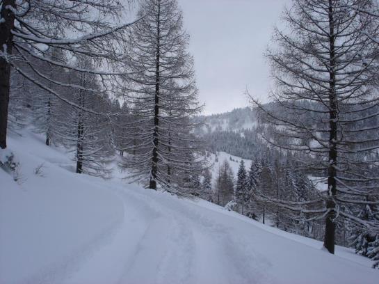 Bed & Breakfast Alpenblick Pension