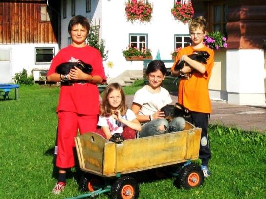 Appartement Schmiedbauernhof