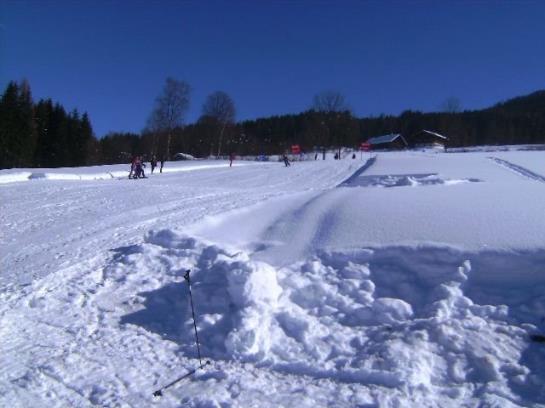 Bauernhof Aubauer 10